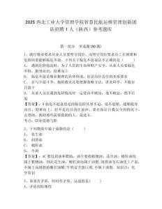 2025西北工業大學管理學院智慧民航運維管理創新團隊招聘1人（陜西）參考題庫及答案詳解（必刷）