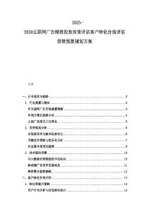 2025-2030互联网广告精准投放效果评估客户转化价值评估营销预算规划方案