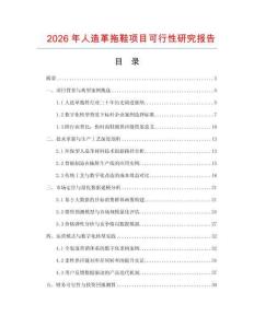 2026年人造革拖鞋項目可行性研究報告