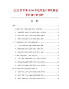 2026及未來5-10年電熱毛巾架項目投資價值分析報告