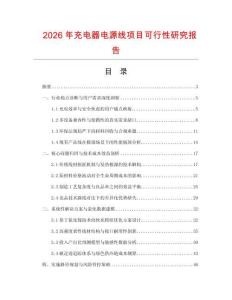 2026年充电器电源线项目可行性研究报告