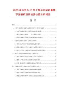 2026及未來5-10年小型半自動定量枕芯充裝機項目投資價值分析報告