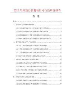 2026年伸筋丹膠囊項目可行性研究報告