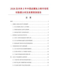 2026及未来5年中国皮圈张力架市场现状数据分析及前景预测报告