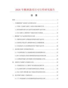 2026年醒酒器项目可行性研究报告