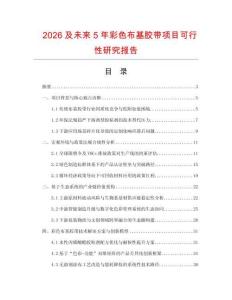 2026及未来5年彩色布基胶带项目可行性研究报告