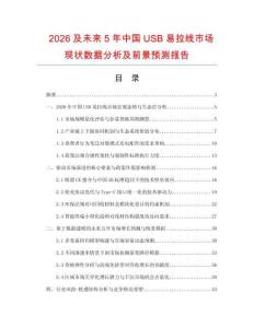 2026及未来5年中国USB易拉线市场现状数据分析及前景预测报告