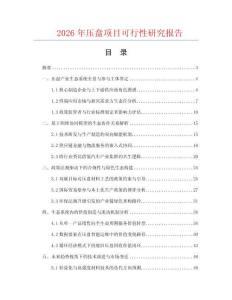 2026年壓盤項目可行性研究報告