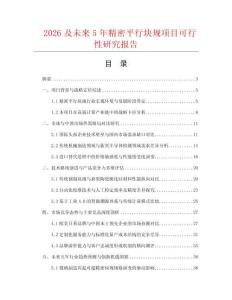 2026及未來5年精密平行塊規項目可行性研究報告