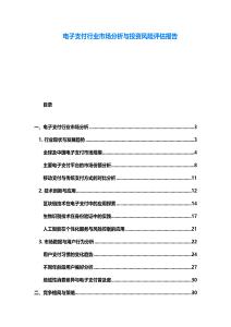 電子支付行業市場分析與投資風險評估報告