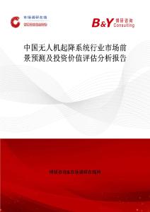 中國無人機起降系統行業市場前景預測及投資價值評估分析報告