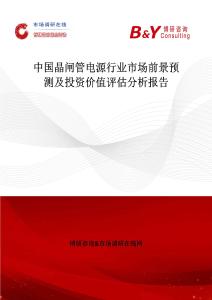 中國(guó)晶閘管電源行業(yè)市場(chǎng)前景預(yù)測(cè)及投資價(jià)值評(píng)估分析報(bào)告