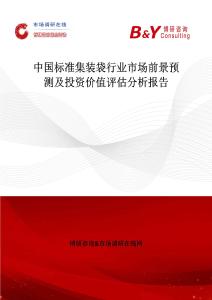 中國標準集裝袋行業市場前景預測及投資價值評估分析報告