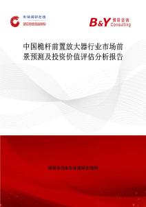 中國桅桿前置放大器行業市場前景預測及投資價值評估分析報告