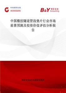 中國橡膠隧道管段墊片行業市場前景預測及投資價值評估分析報告