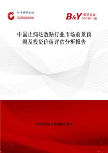 中国止痛热敷贴行业市场前景预测及投资价值评估分析报告