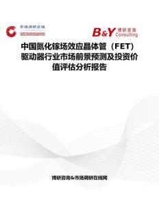 中国氮化镓场效应晶体管（FET）驱动器行业市场前景预测及投资价值评估分析报告
