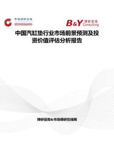 中國汽缸墊行業市場前景預測及投資價值評估分析報告