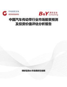 中國汽車傳動帶行業(yè)市場前景預(yù)測及投資價值評估分析報告