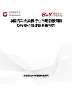 中国汽车大梁板行业市场前景预测及投资价值评估分析报告