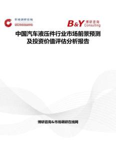 中國汽車液壓件行業市場前景預測及投資價值評估分析報告
