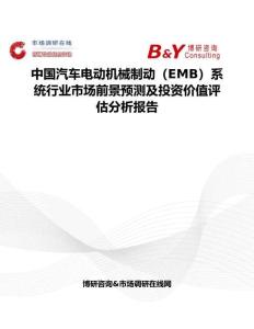 中国汽车电动机械制动（EMB）系统行业市场前景预测及投资价值评估分析报告