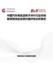 中国汽车电机定转子冲片行业市场前景预测及投资价值评估分析报告