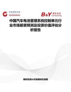 中国汽车电池管理系统控制单元行业市场前景预测及投资价值评估分析报告