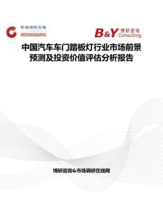 中国汽车车门踏板灯行业市场前景预测及投资价值评估分析报告