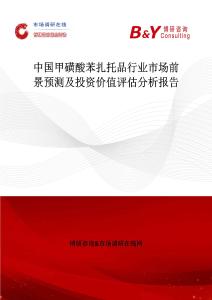 中國甲磺酸苯扎托品行業市場前景預測及投資價值評估分析報告