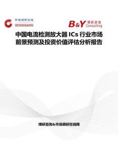 中國電流檢測放大器ICs行業市場前景預測及投資價值評估分析報告