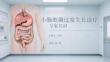 小肠细菌过度生长诊疗专家共识