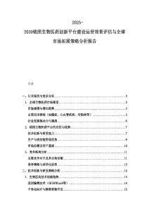2025-2030銘照生物醫藥創新平臺建設運營效果評估與全球市場拓展策略分析報告