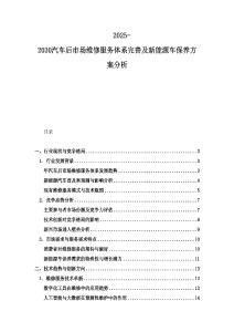 2025-2030汽車后市場維修服務體系完善及新能源車保養方案分析