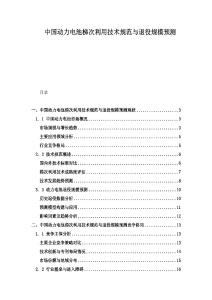 中國動力電池梯次利用技術(shù)規(guī)范與退役規(guī)模預(yù)測