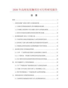 2026年高純氧化鑭項目可行性研究報告