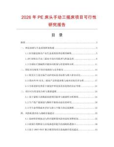2026年P(guān)E床頭手動三搖床項目可行性研究報告