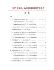 2026年FDY丝项目可行性研究报告