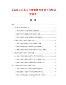 2026及未來(lái)5年橡筋繩帶項(xiàng)目可行性研究報(bào)告