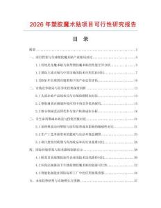 2026年塑膠魔術貼項目可行性研究報告
