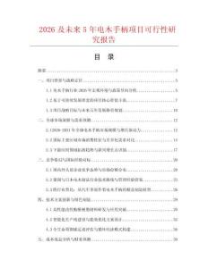 2026及未来5年电木手柄项目可行性研究报告