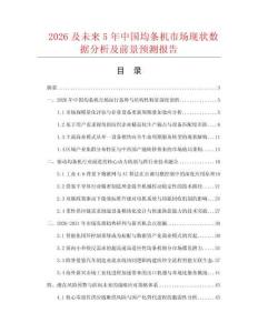 2026及未来5年中国均条机市场现状数据分析及前景预测报告