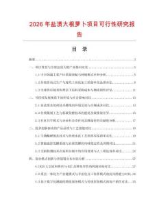 2026年盐渍大根萝卜项目可行性研究报告