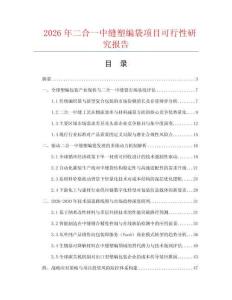 2026年二合一中缝塑编袋项目可行性研究报告