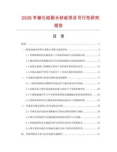 2026年碳化硅耐水砂紙項(xiàng)目可行性研究報(bào)告