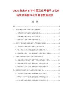 2026及未來5年中國雙邊開槽子口機市場現狀數據分析及前景預測報告
