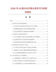 2026年45度内外牙弯头项目可行性研究报告