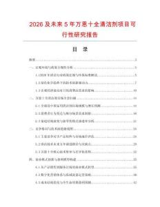 2026及未來5年萬恩十全清潔劑項目可行性研究報告