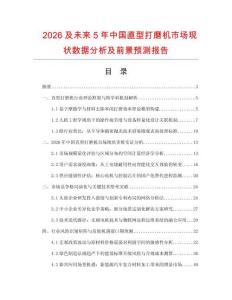 2026及未来5年中国直型打磨机市场现状数据分析及前景预测报告