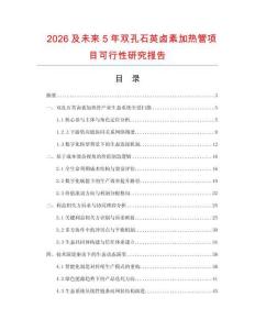 2026及未來5年雙孔石英鹵素加熱管項(xiàng)目可行性研究報告